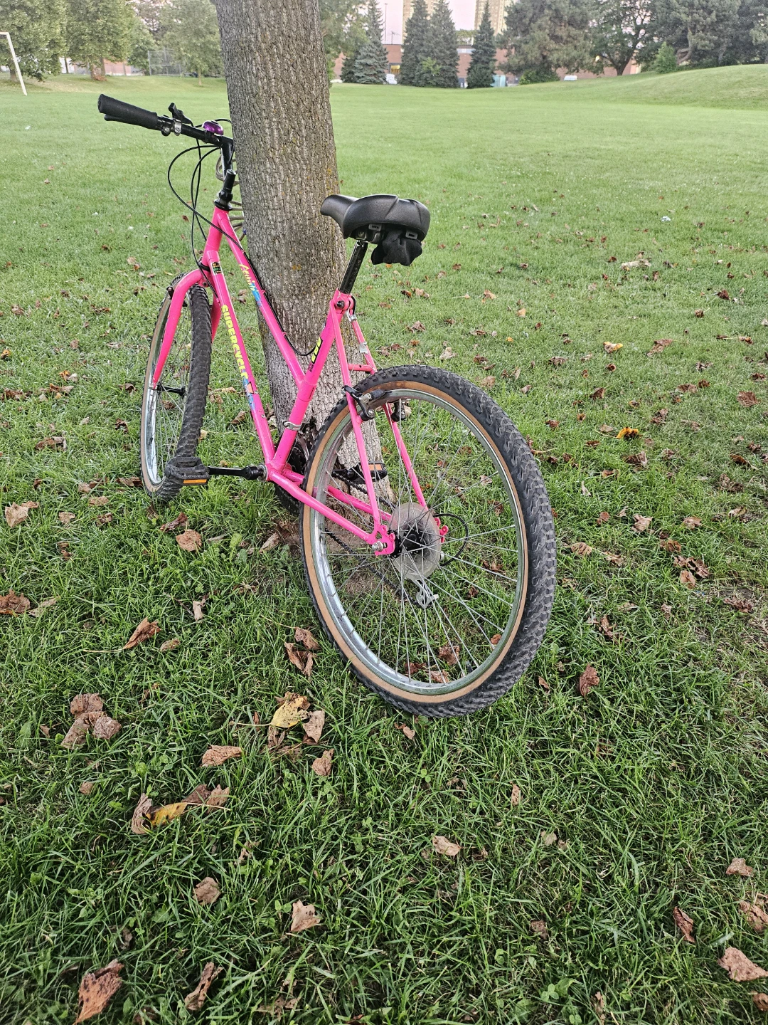 Pink Supercycle Mountain Bike - photo 2