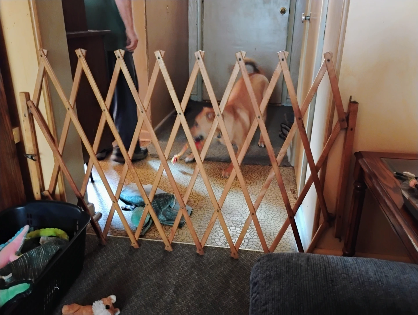 Accordion Wooden Baby Gate - photo 2