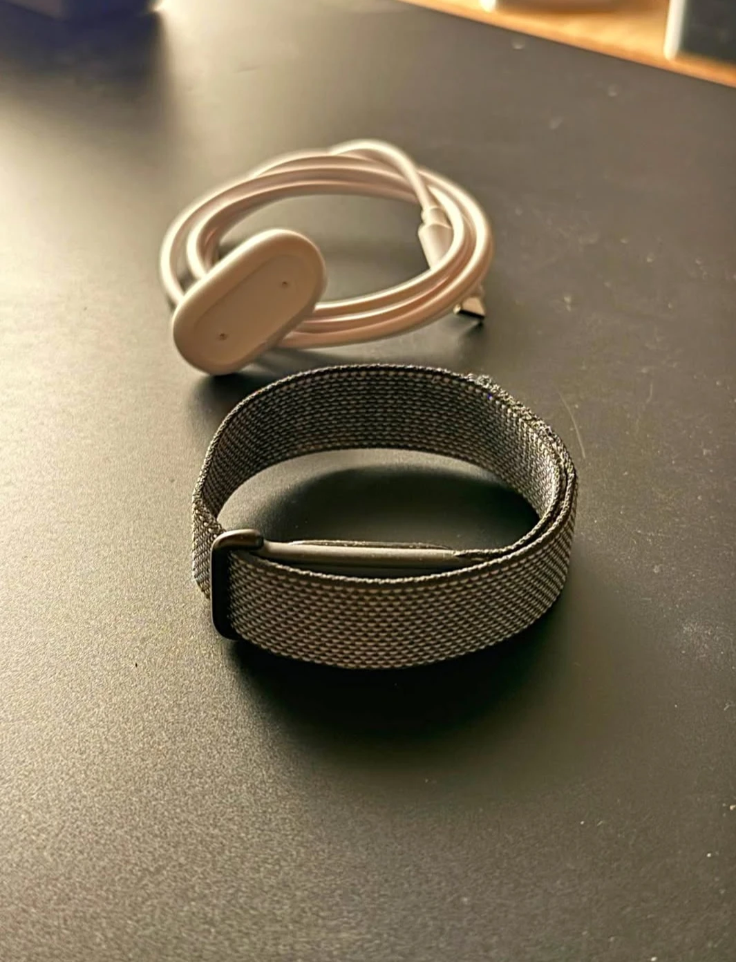 Google Fitbit Air