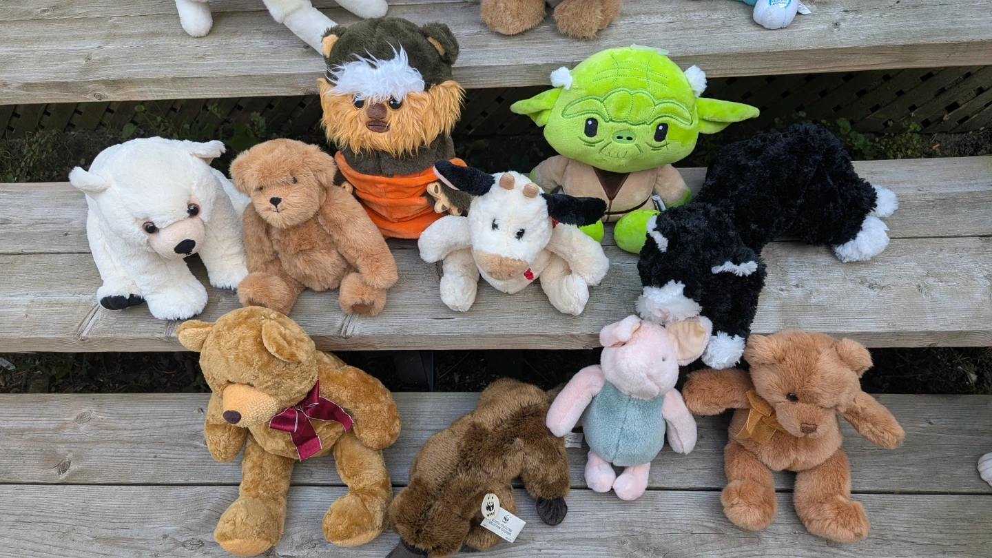 Assorted Plush Toys Collection12$ Each - photo 2