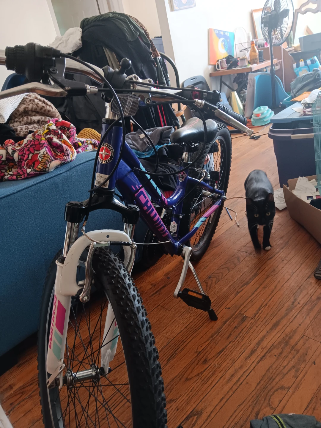 Schwinn Ranger Girls Mountain Bike model s3401tgm