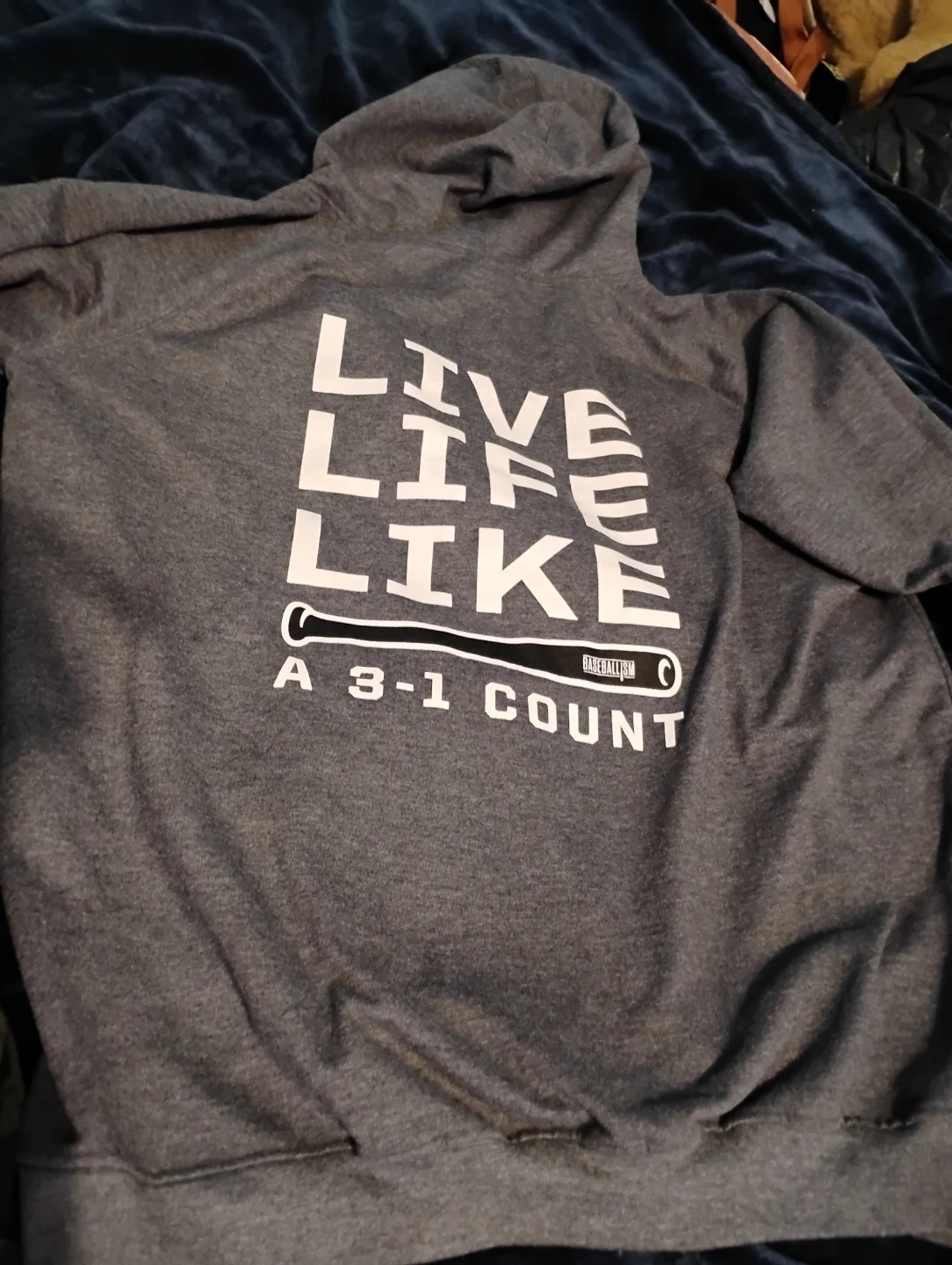 Baseballism Hoodie
