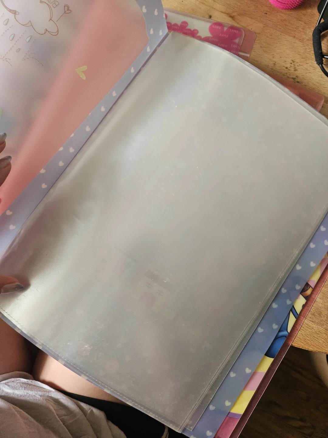 Clear Folder/Binder - photo 3