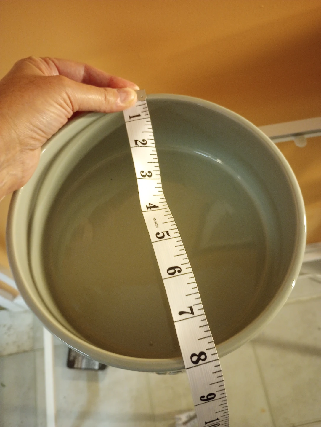 Dexy Paws Large Ceramic Dog Bowls - photo 2
