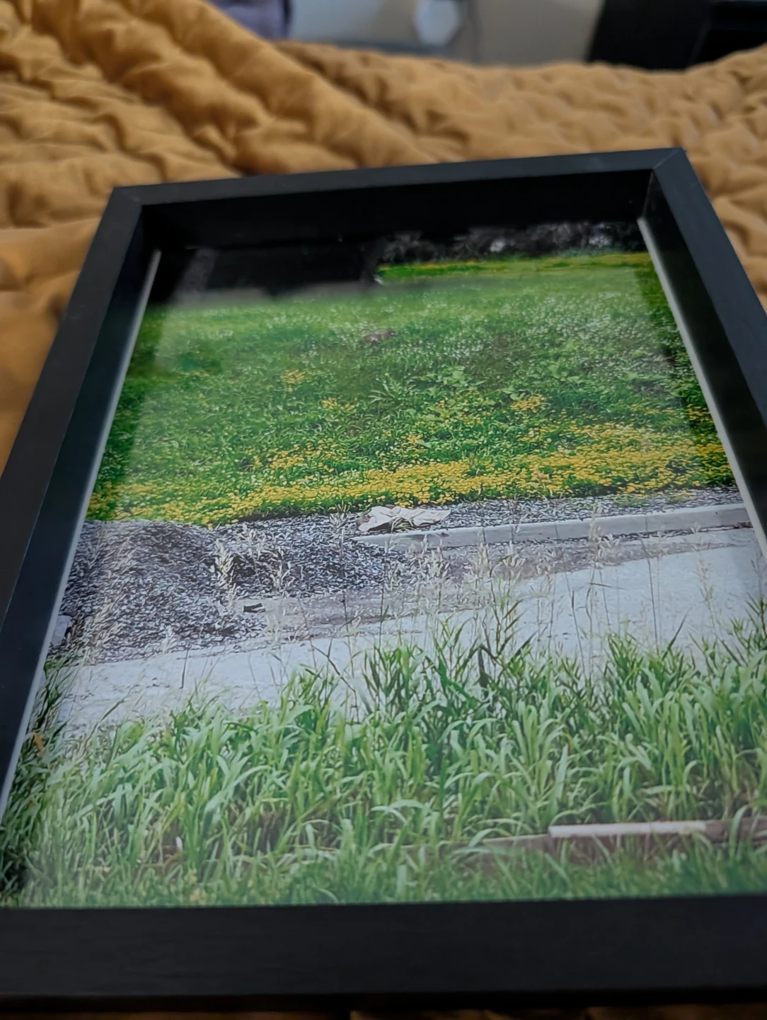 Framed Landscape Photo - photo 2