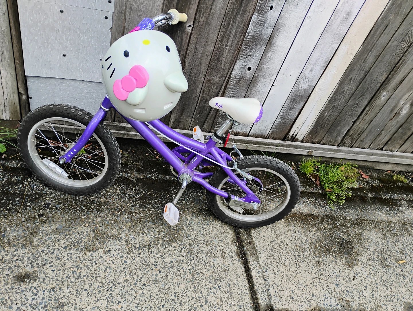 Purple Fuji "Rookie" Kids Bike