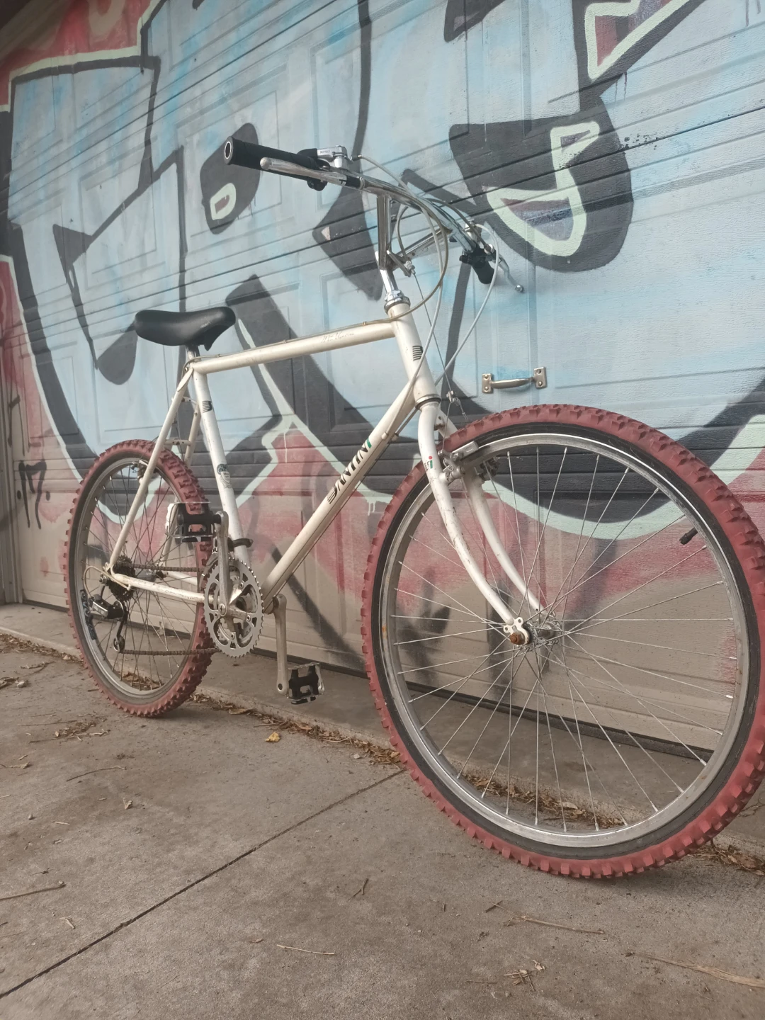 Santini Bike - photo 4