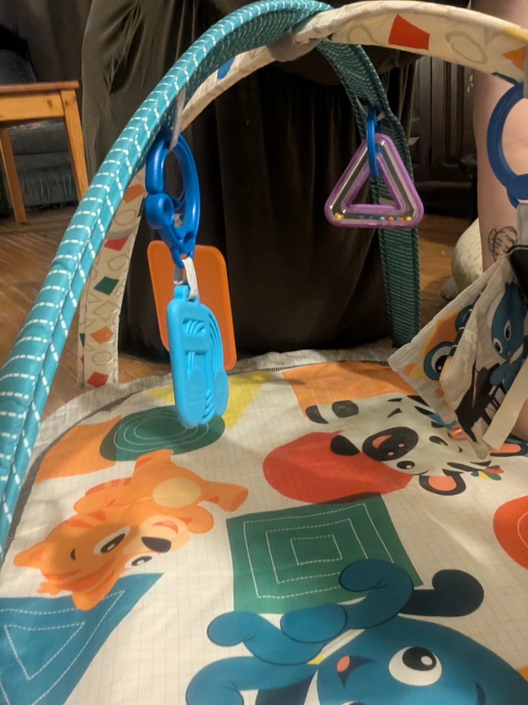 Fisher-Price Deluxe  Gym