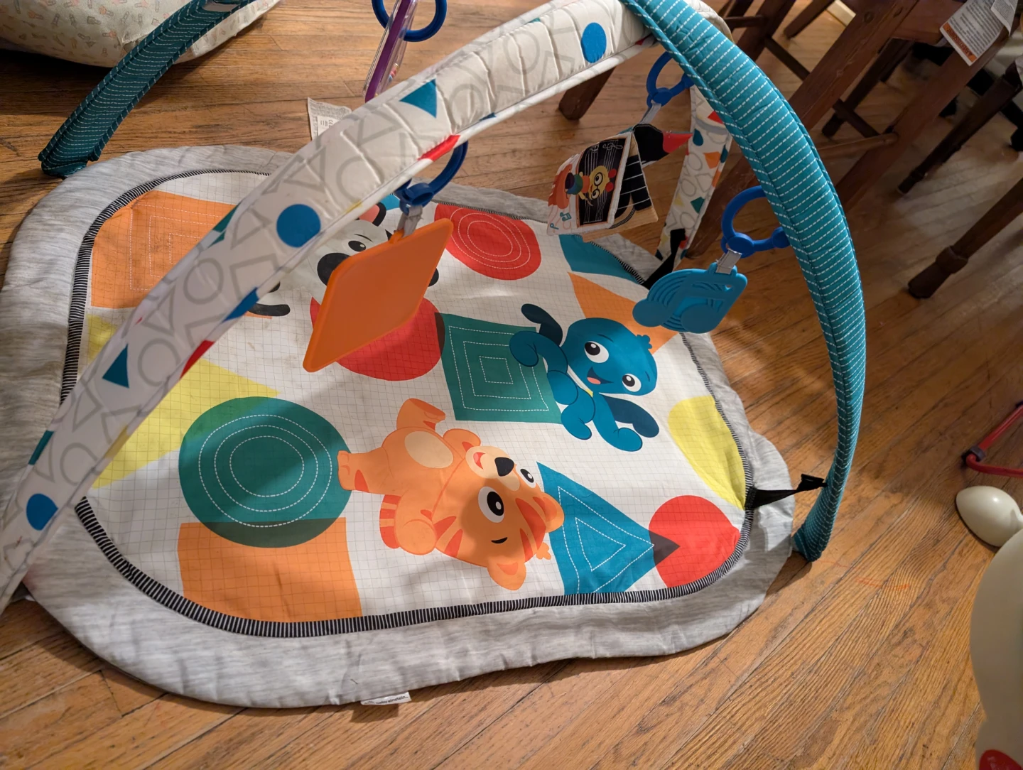 Fisher-Price Deluxe  Gym - photo 4