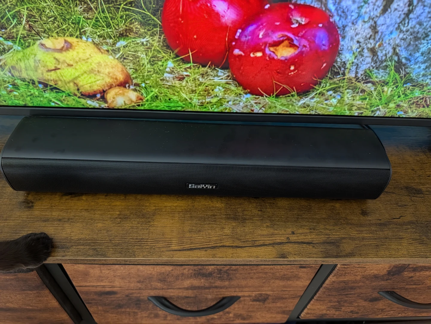 SaiWin Bluetooth Soundbar with Remote