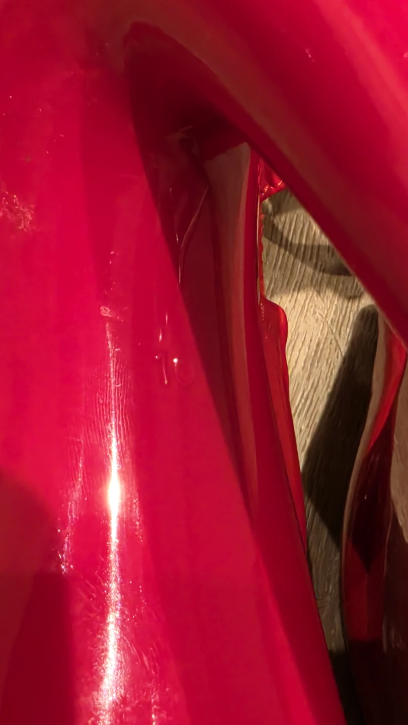Pleaser Red Platform Heels Size 10 - photo 5