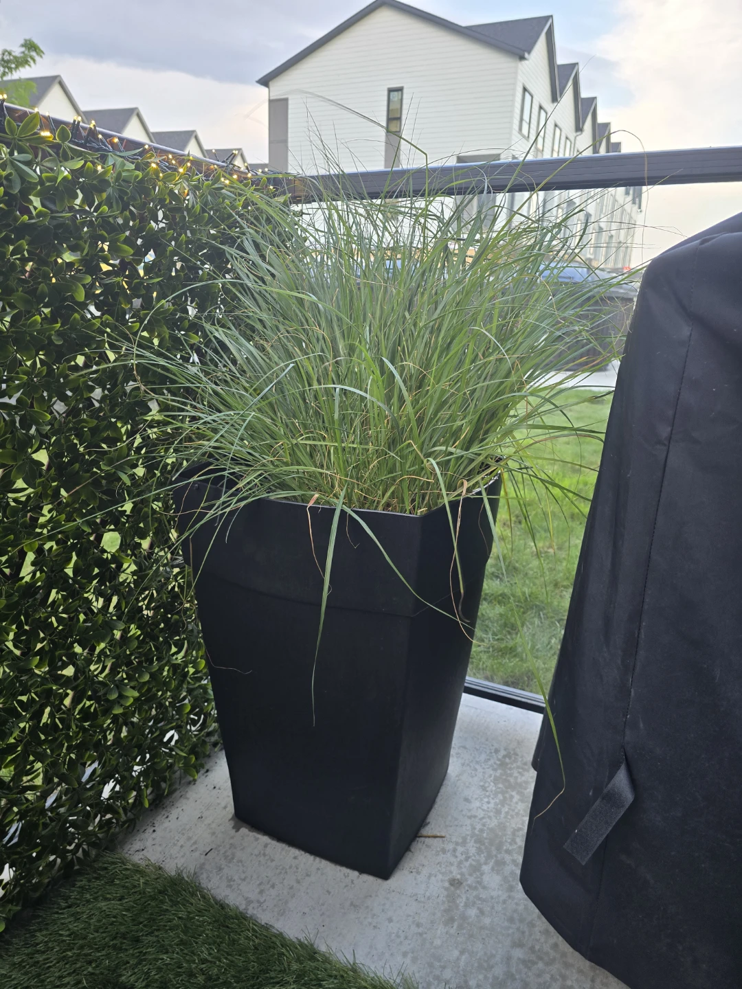 EXTRA LARGE SELF WATERING POT w/SHRUB and NEW SOIL