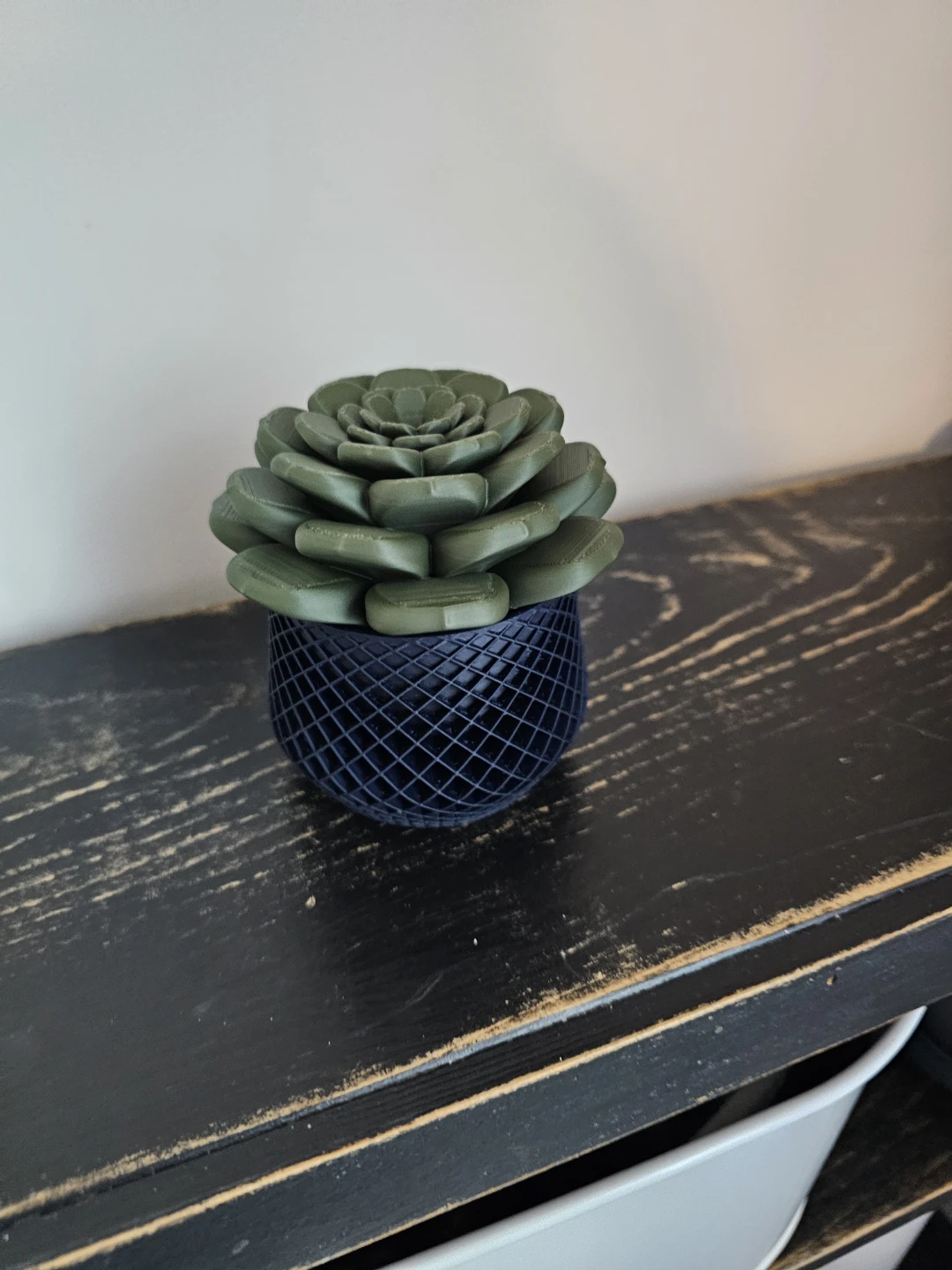3D Printed succulent look Fruit Fly Traps - photo 4