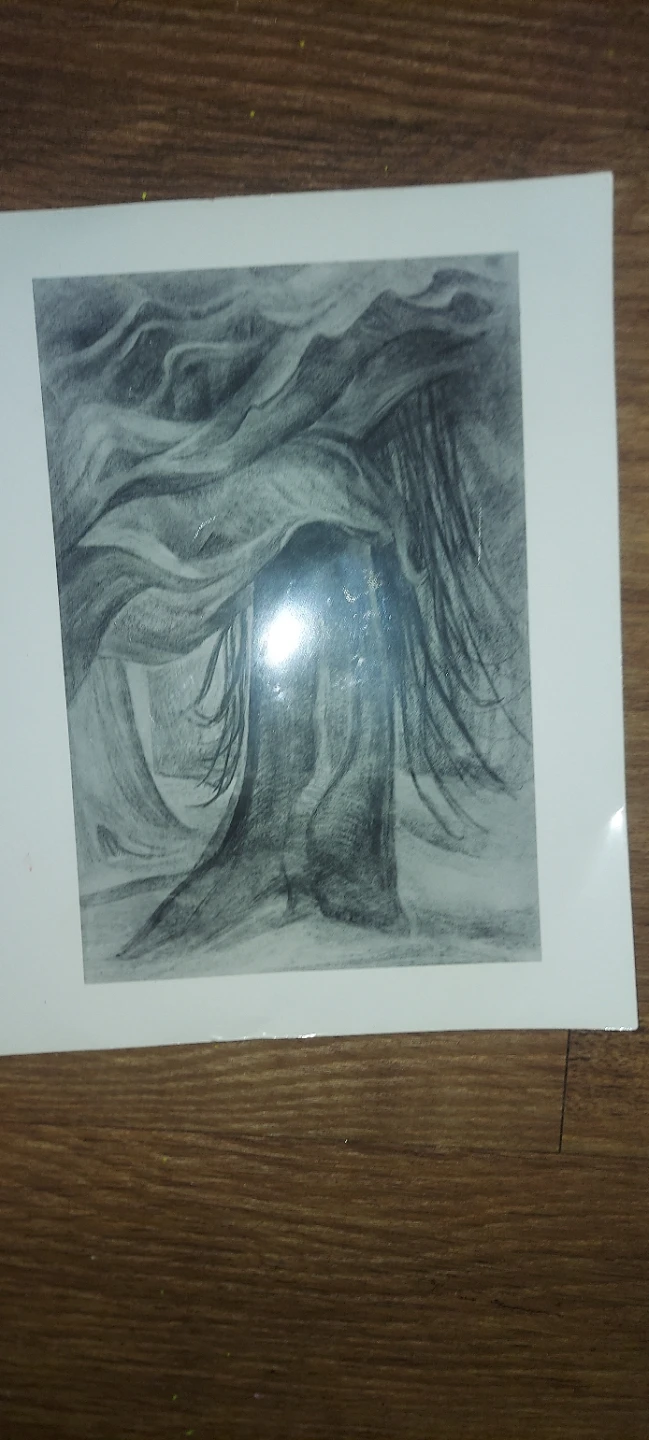 Reproduction of an Emily Carr  charcoal sketch. - photo 4