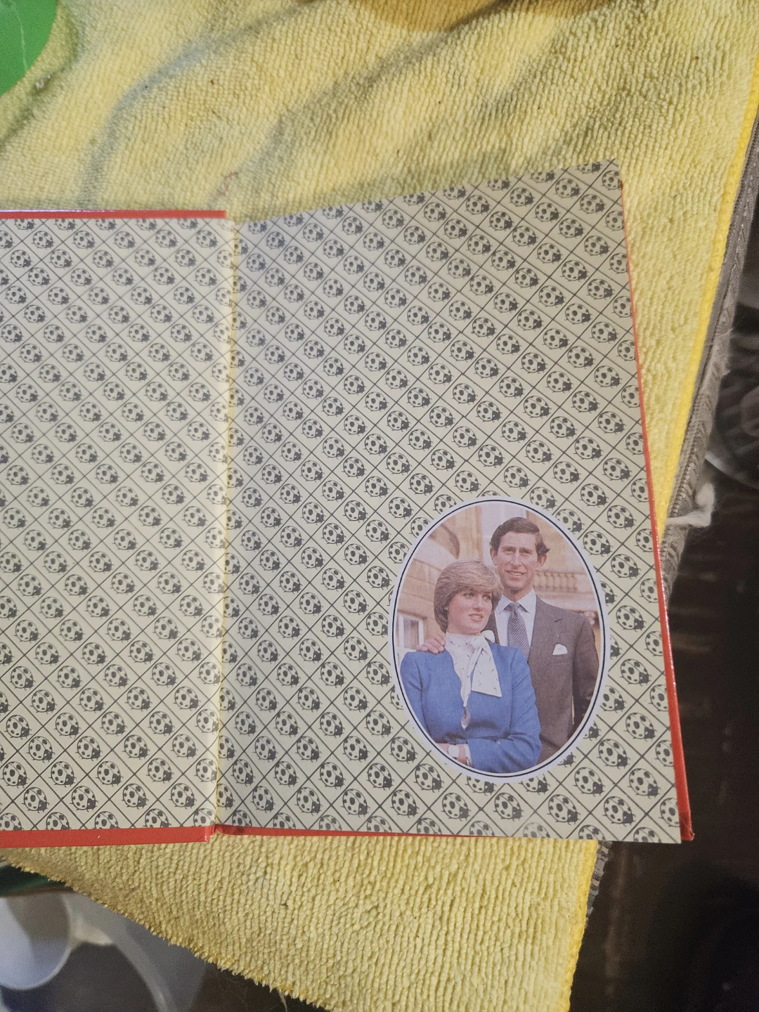 Ladybird Book HRH Prince Charles - photo 4