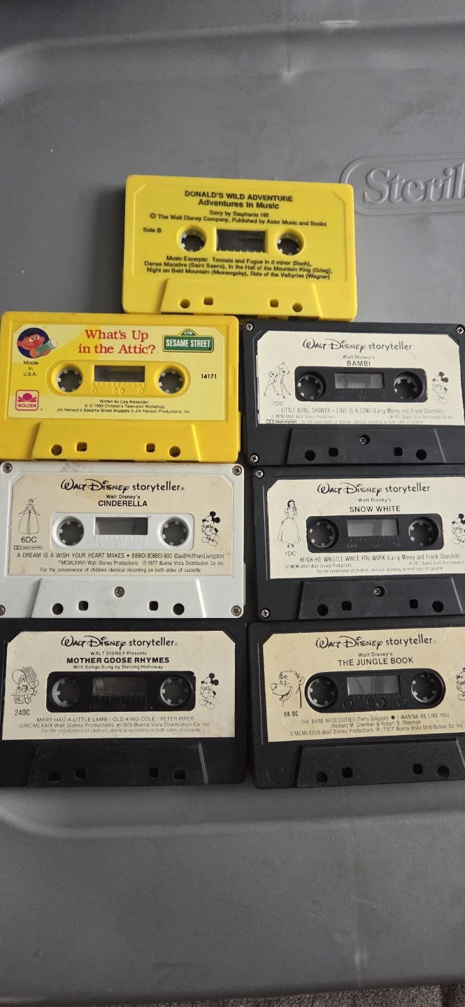 Cassette Tapes - photo 3
