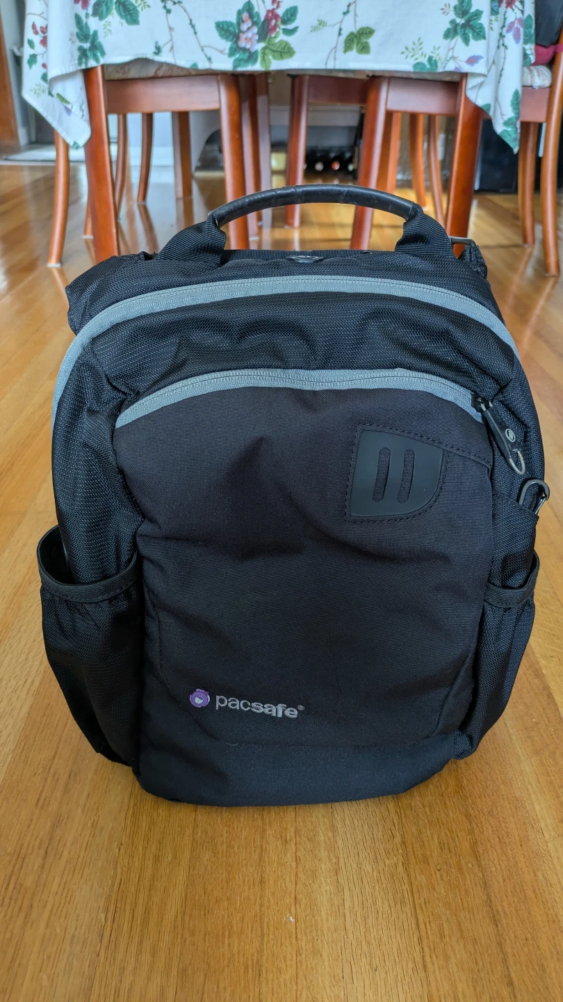 Pacsafe Black Crossbody Bag