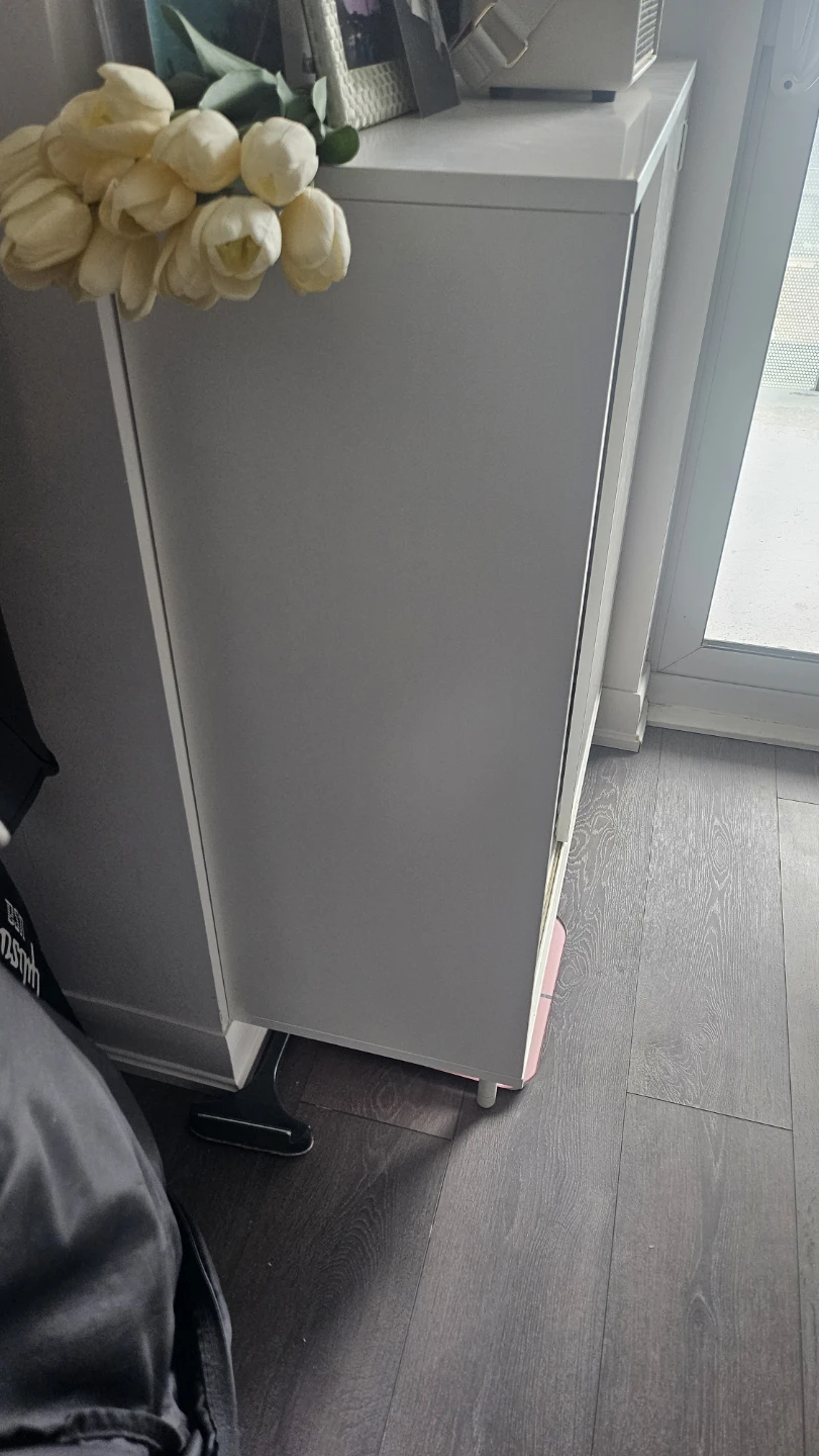 IKEA MACKAPÄR Shoe/Storage Cabinet - photo 3