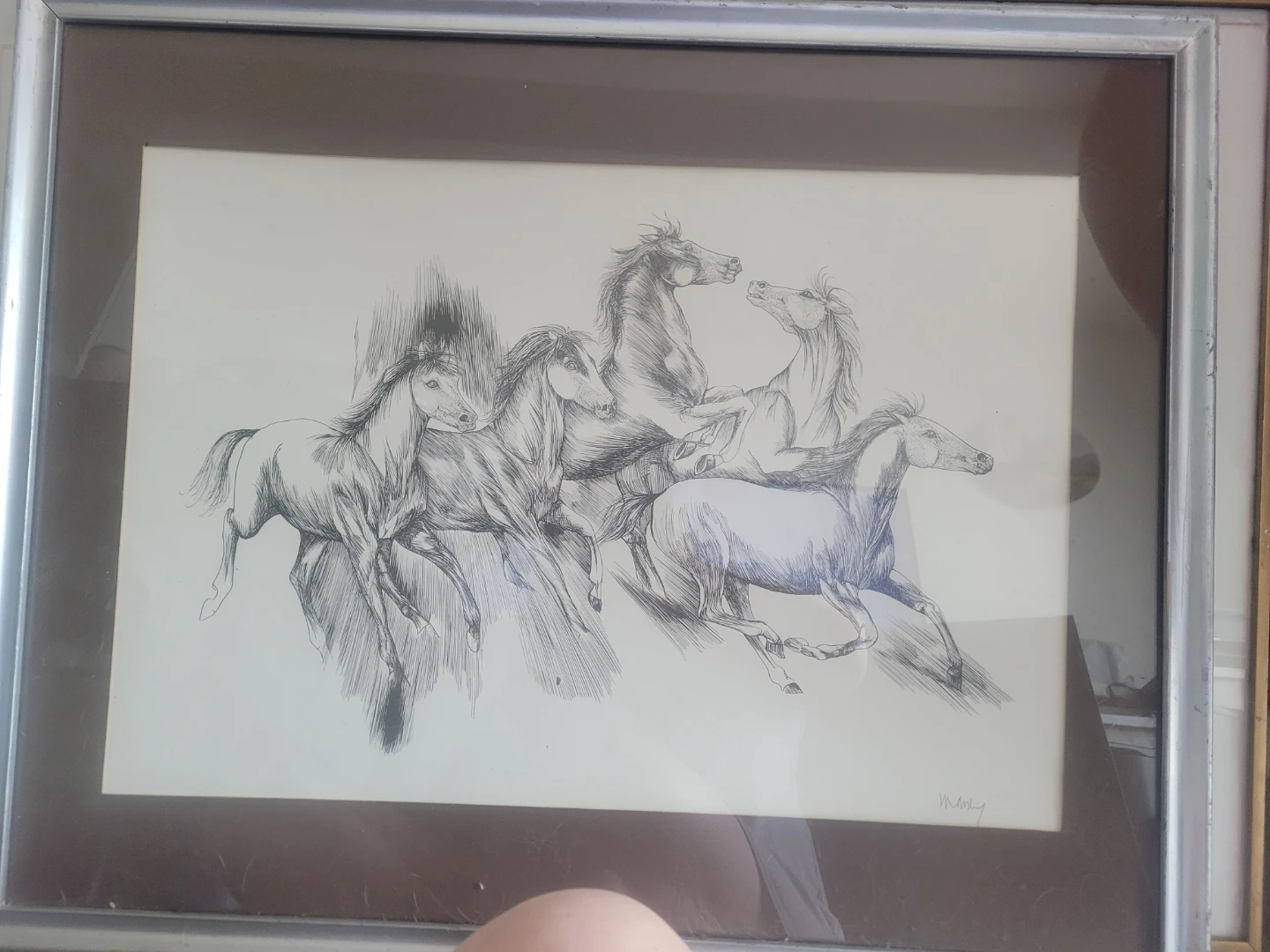 Framed Horse Sketch Art
