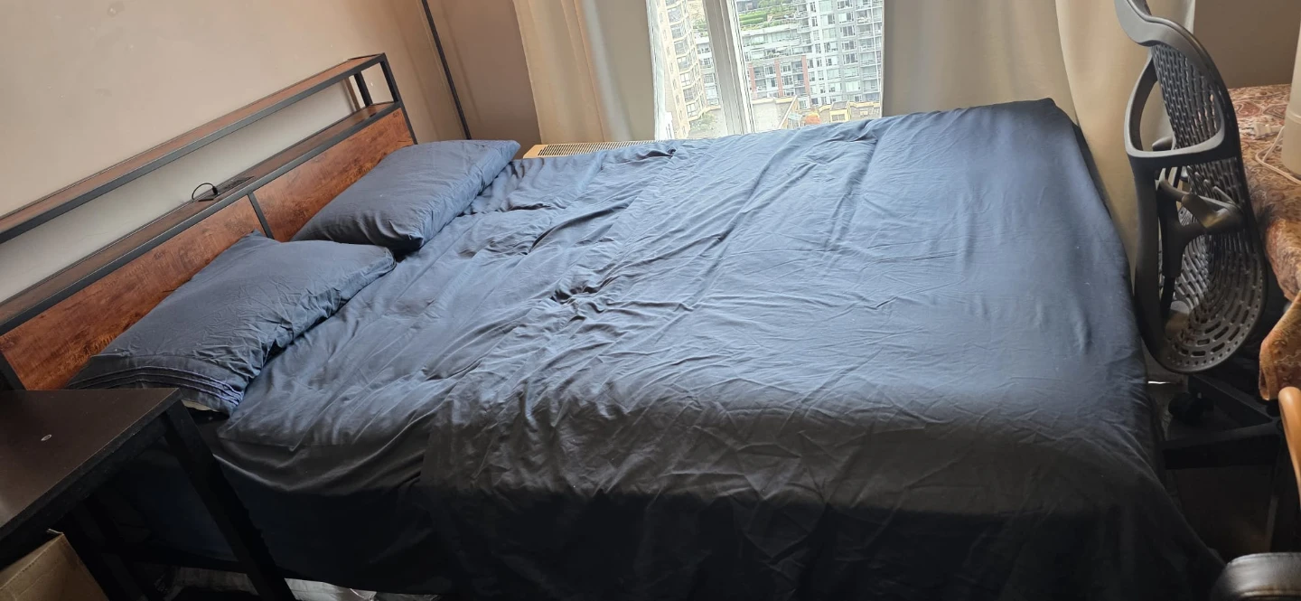 Queen Size Metal and Wood Bed Frame with matress