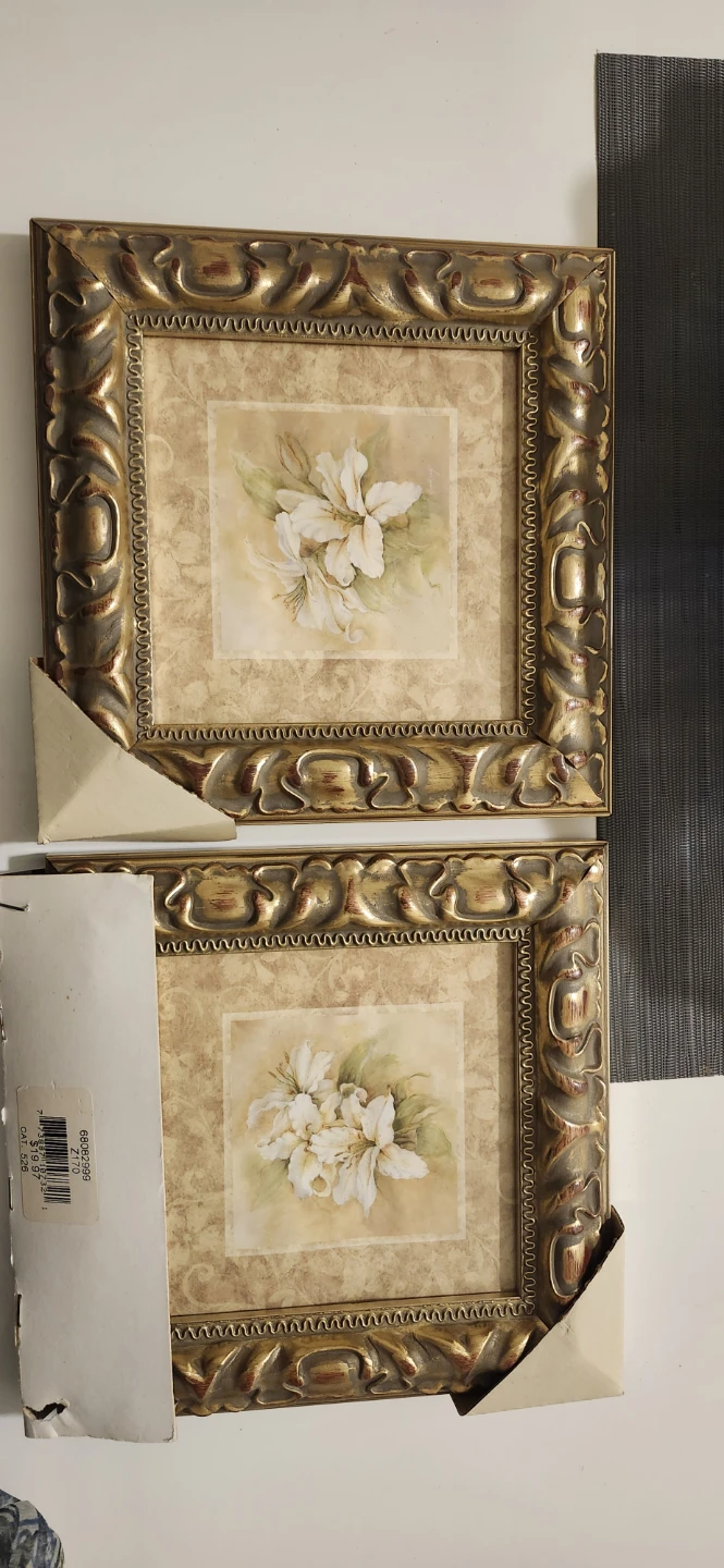 Set of 2 Gold Framed Floral Wall Art Prints