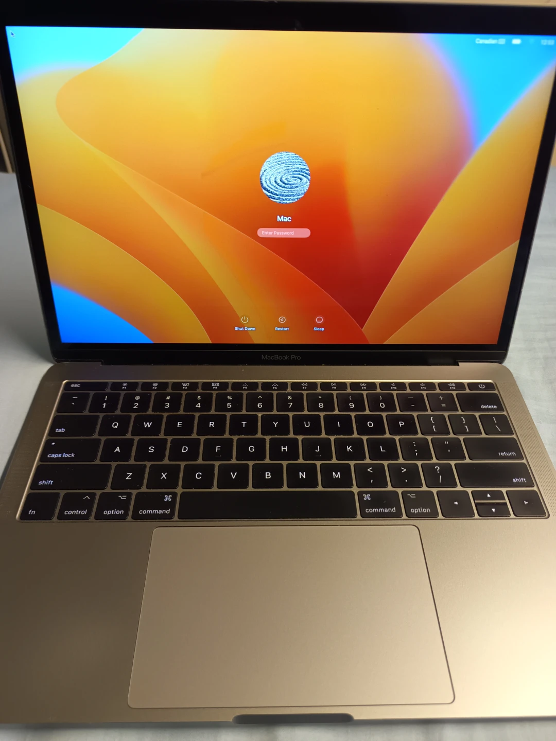 MacBook Pro Intel Core i5 2 .3GHz Dual Core 8GB Ram 256GB SSD