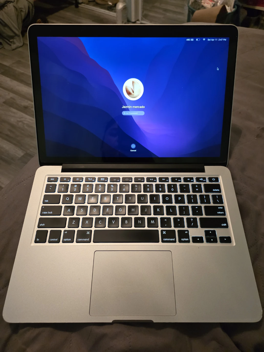 Apple MacBook Pro Laptop