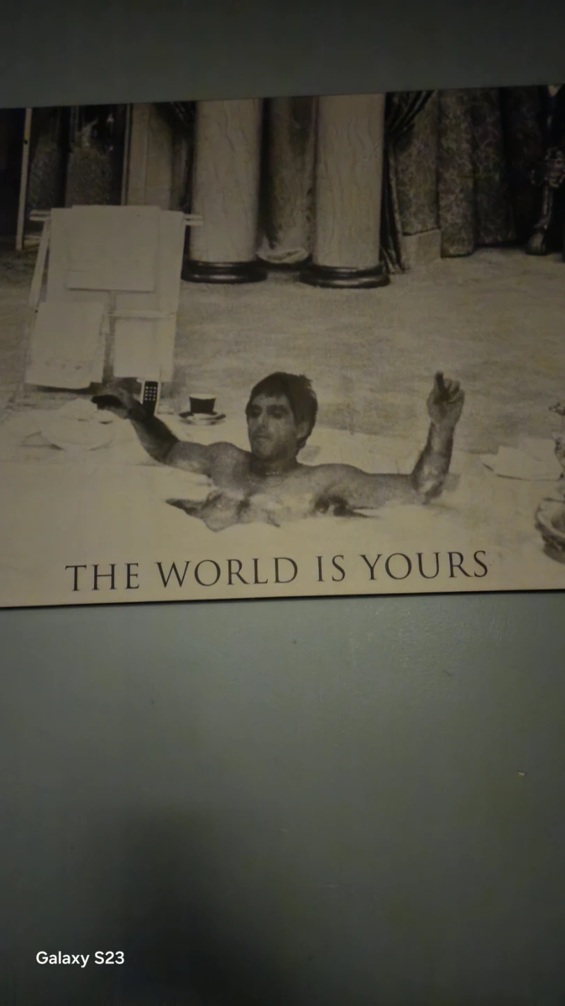 Scarface "The World Is Yours" Wall Art - photo 3