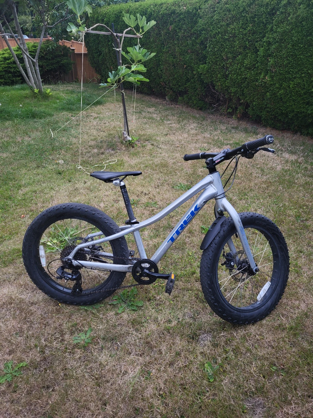 Trek Roscoe 20 Kids Fat Tire Bike
