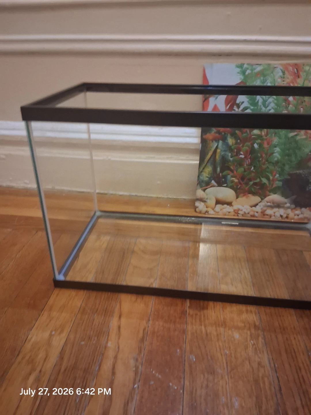 10 gallon Glass Aquarium Tank with Rocks