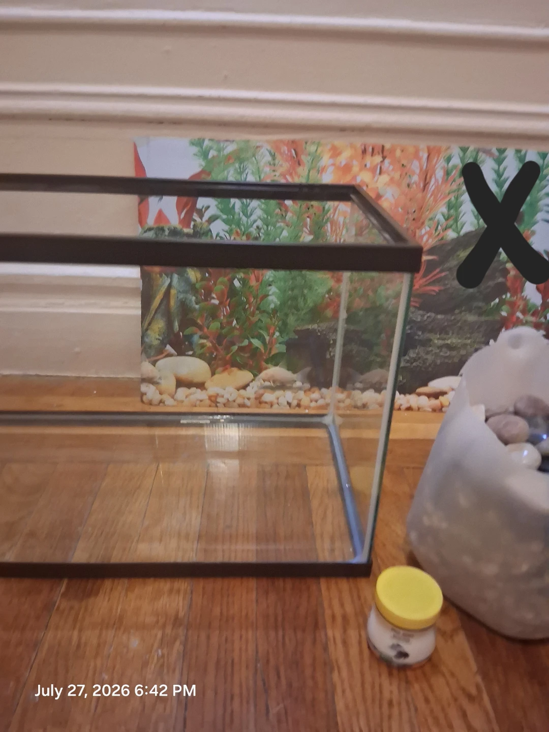 10 gallon Glass Aquarium Tank with Rocks - photo 3