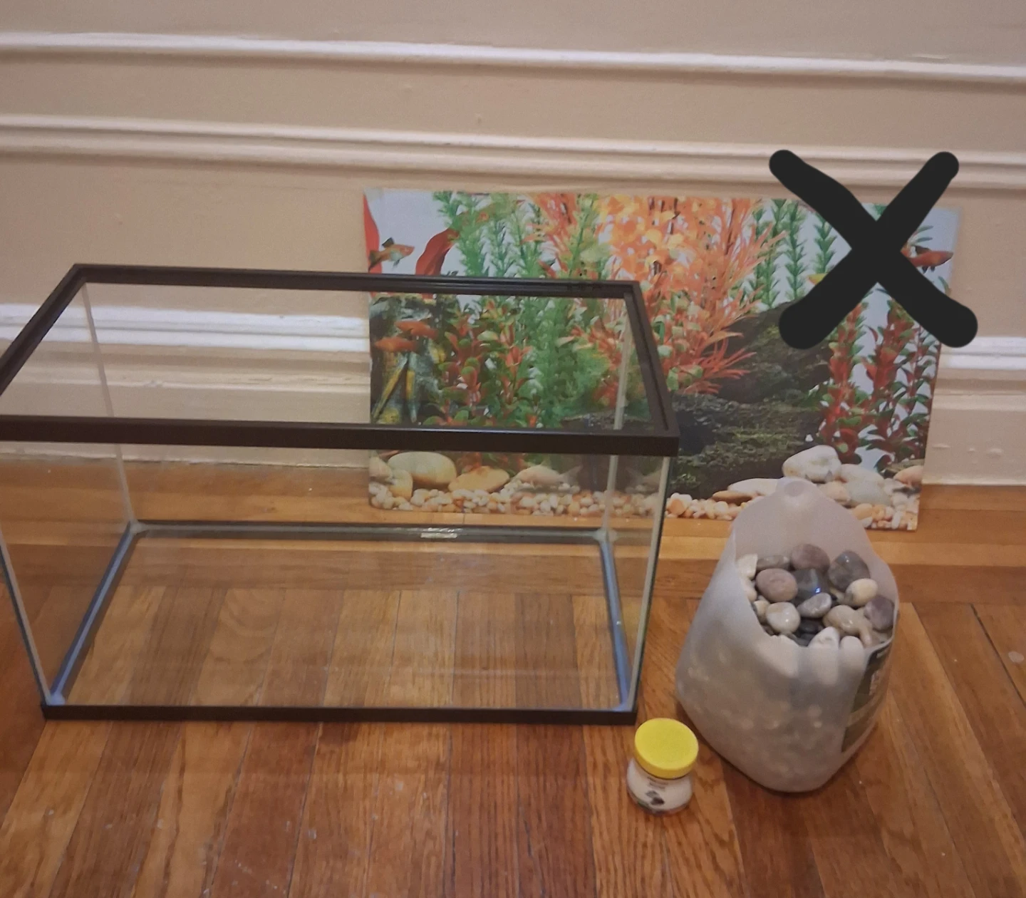 10 gallon Glass Aquarium Tank with Rocks - photo 4