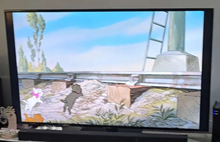 Samsung 55 inch Smart TV