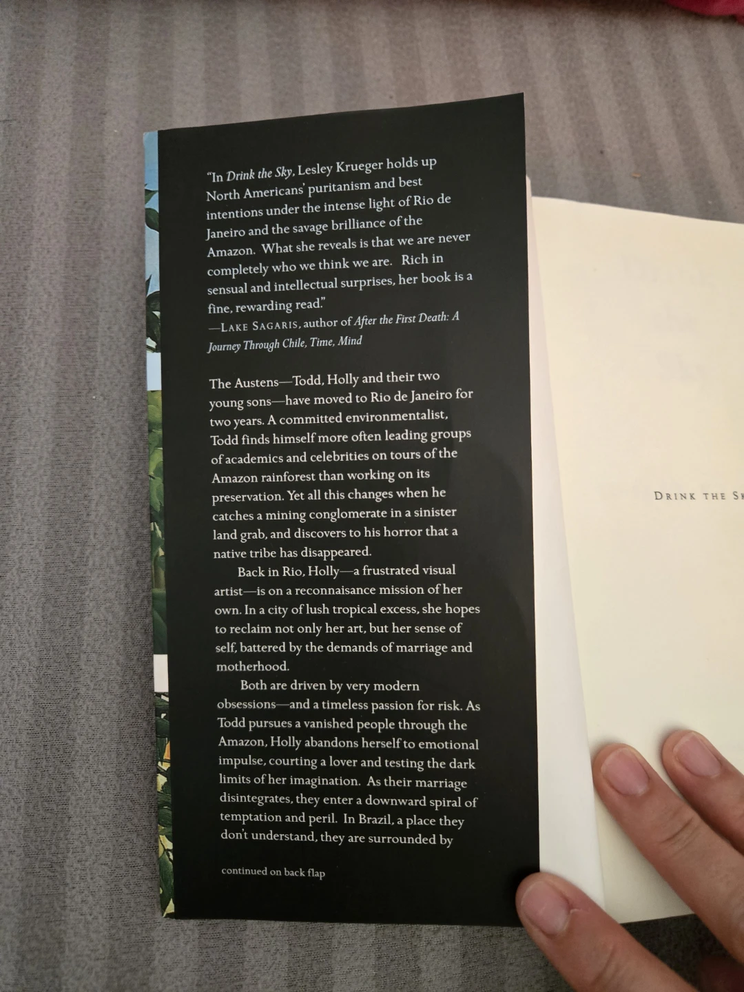 Drink the Sky by Lesley Krueger Paperback Novel - photo 2