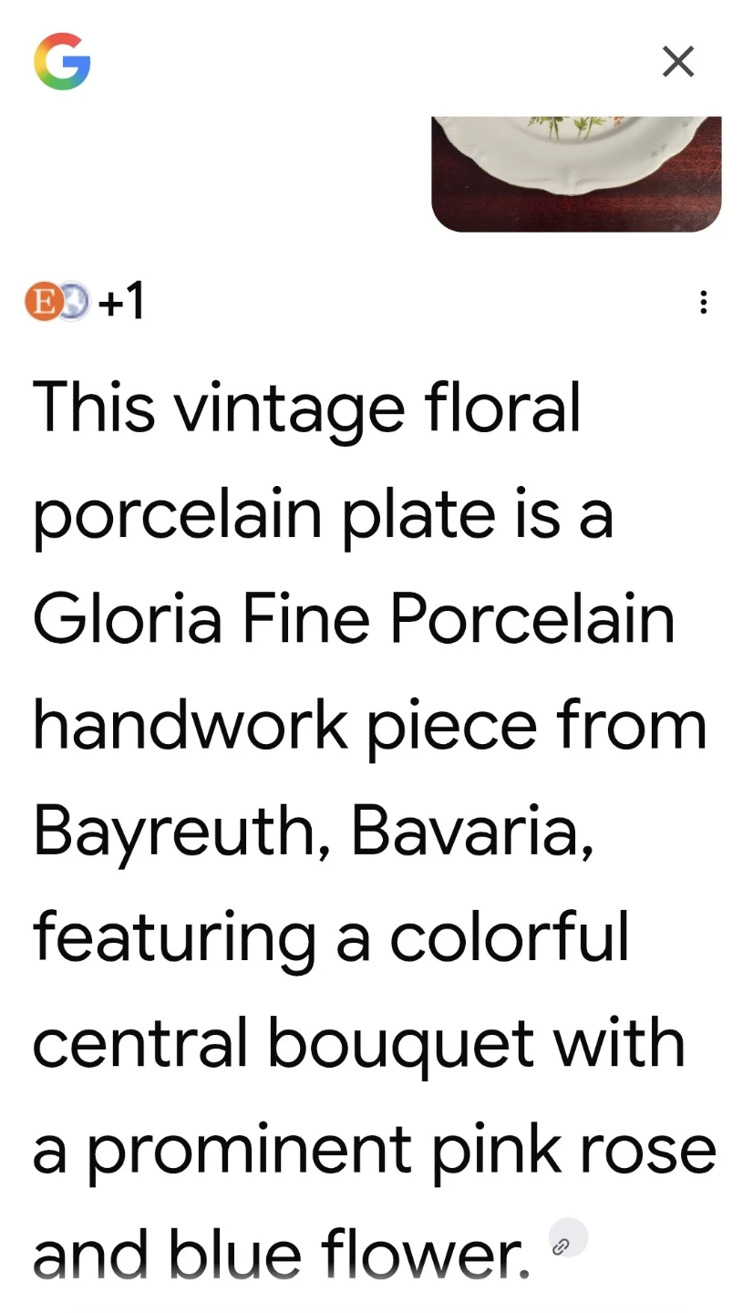 Rare Vintage Gloria Fine Porcelain Plate - Handwork Floral - photo 4