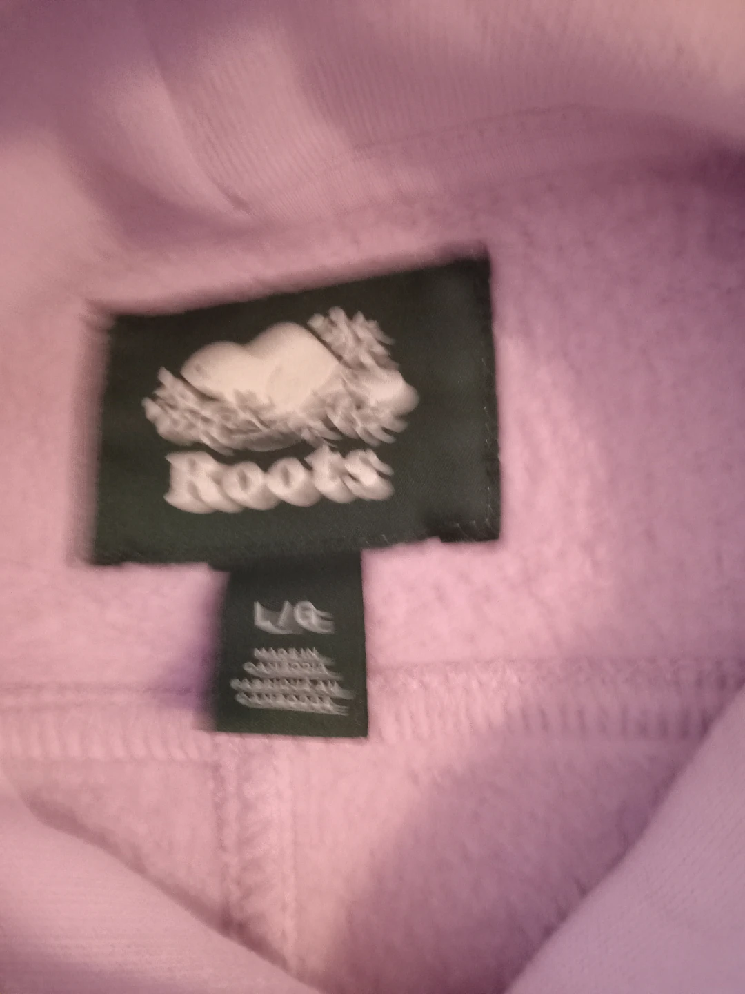 Roots Hoodie - photo 3