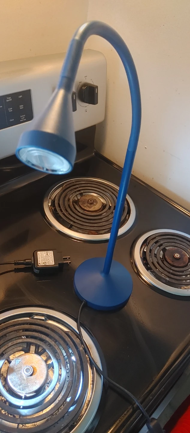 Blue Adjustable Gooseneck Desk Lamp