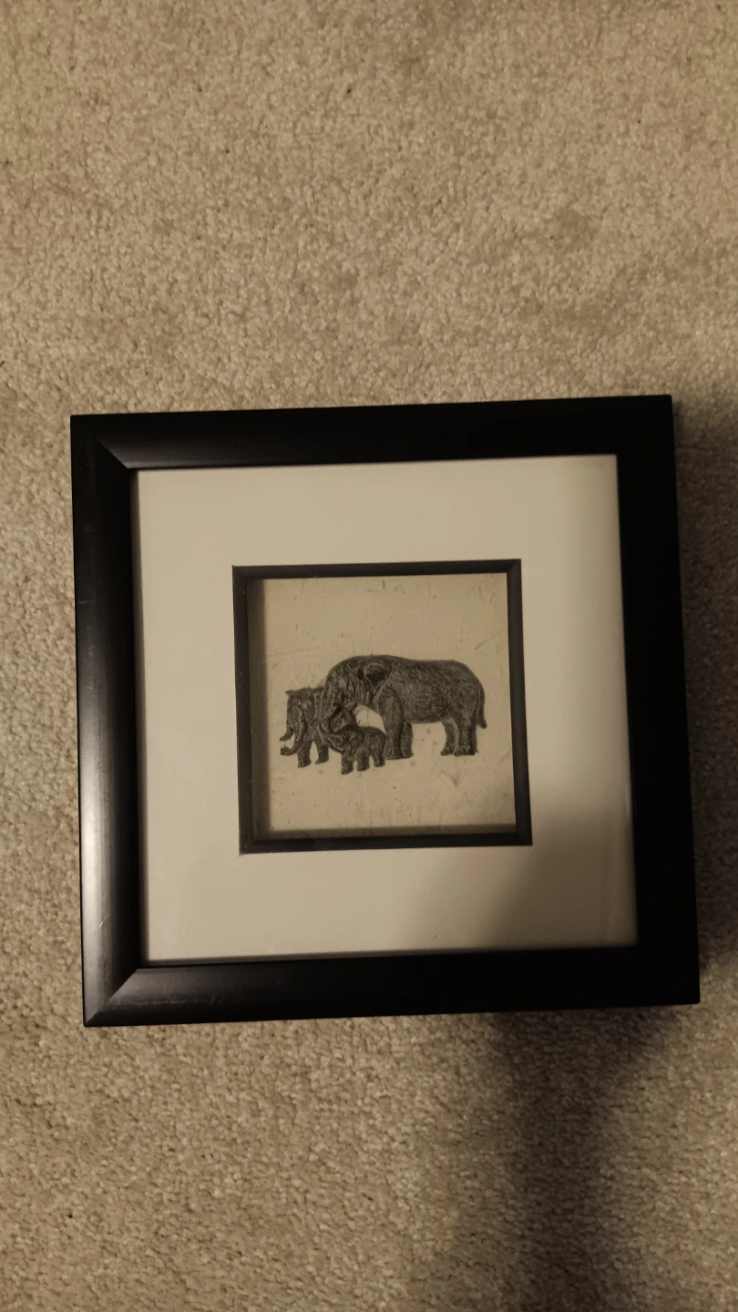Framed African Animal Art Prints 8x8 (Set of 2) - photo 3