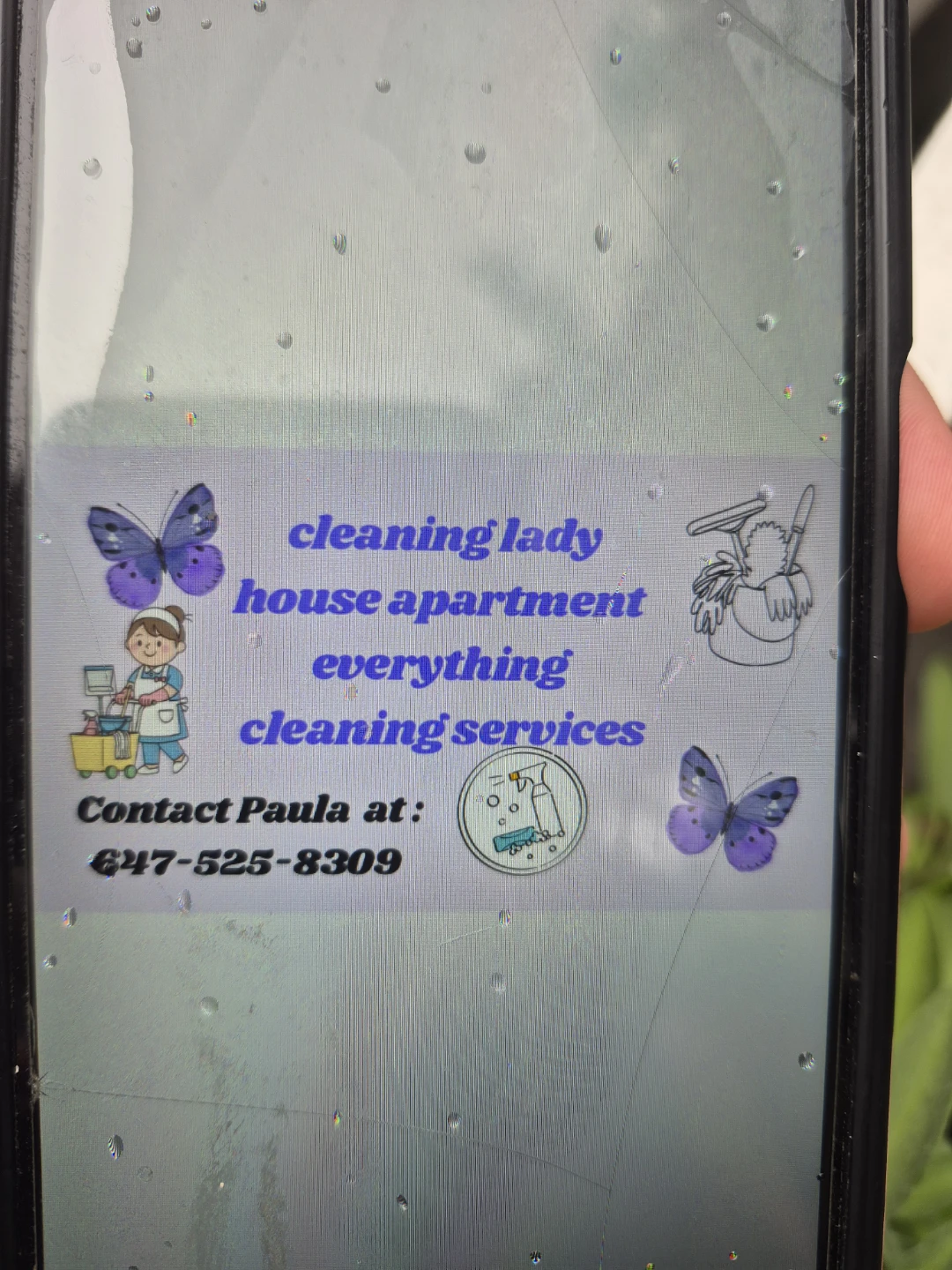 Cleaning Lady House Apartment Everything Cleaning Services