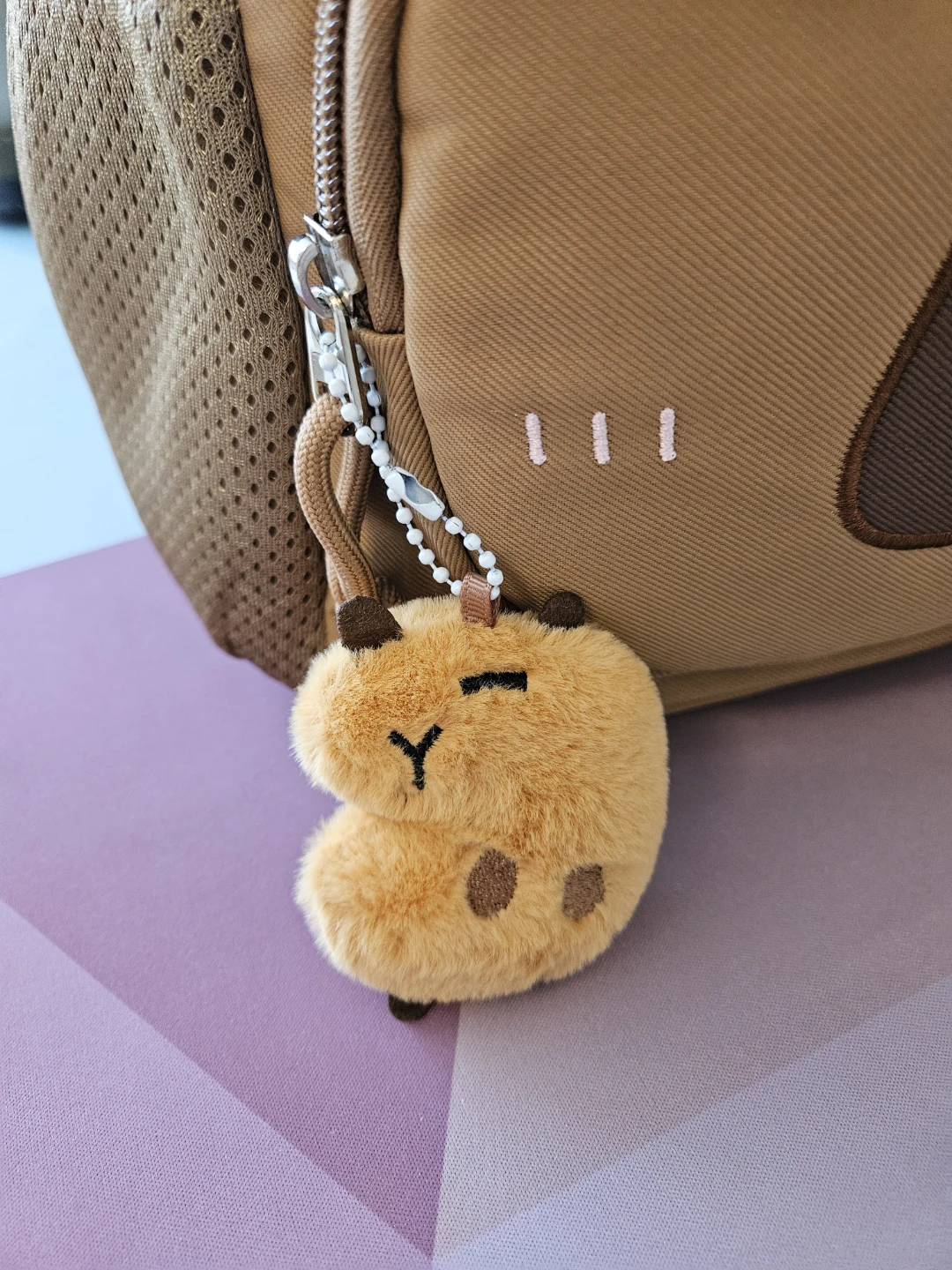 BRAND NEW Kapybara Kids & teens Backpack - photo 3