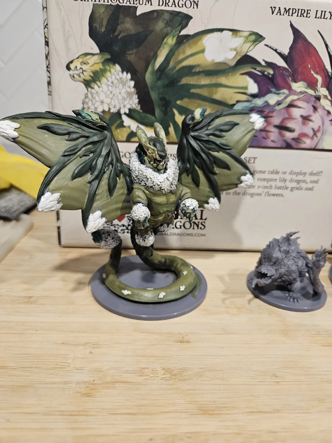 Floral dragons botanist set - photo 2