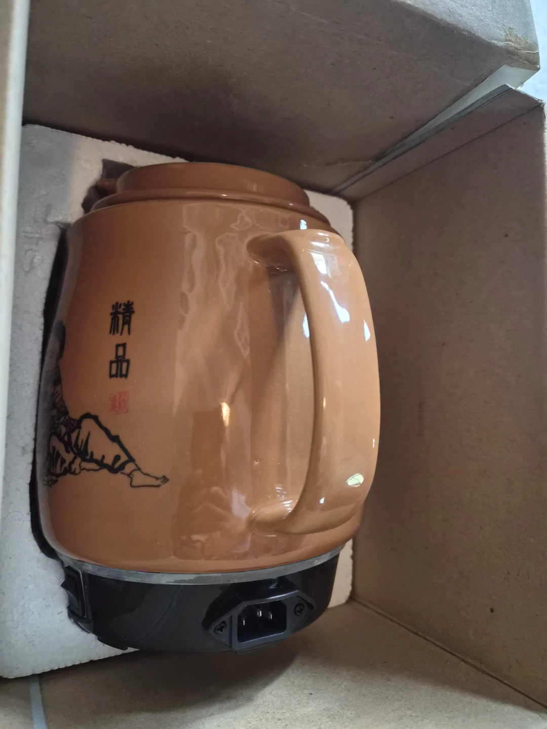 Electric Herbal Health Pot