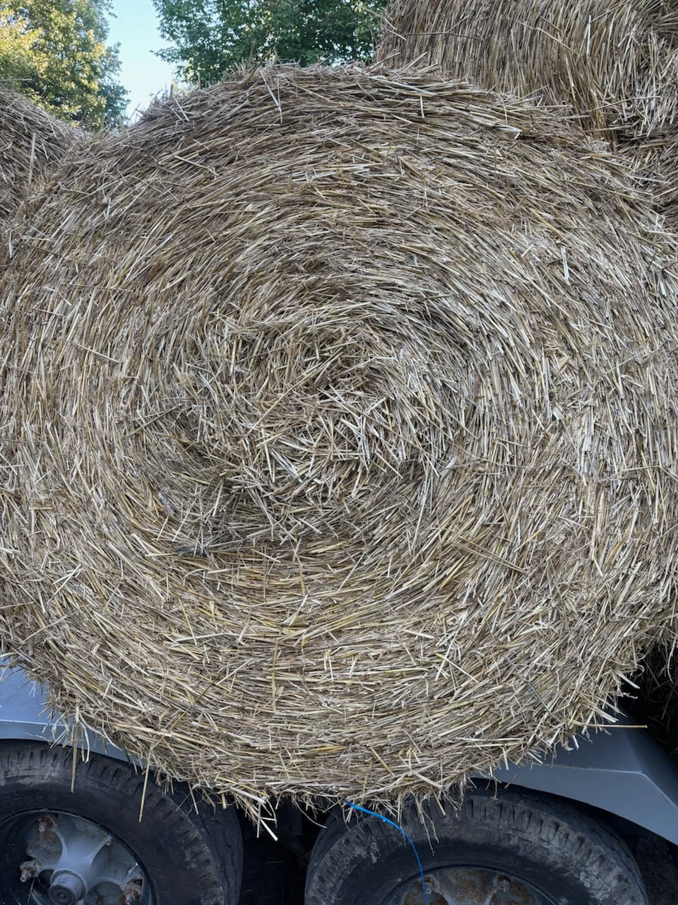 Large Round Wheat Straw Bales - photo 2