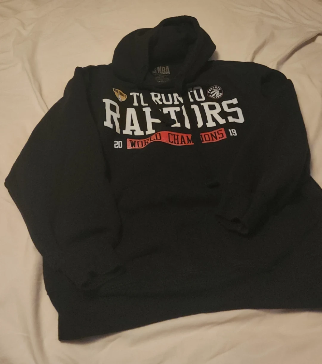 Toronto Raptors 2019 World Champions Hoodie