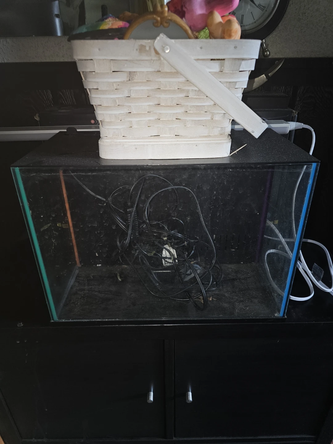 7 gallon neon fish tank