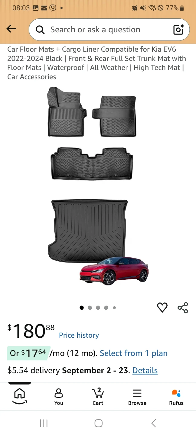 Car Floor Mats & Cargo Liner for Kia EV6 - photo 3