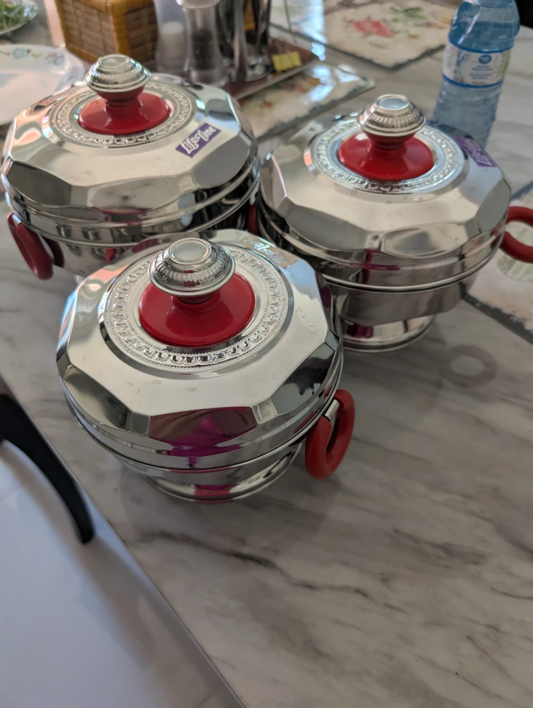 Lifetime Stainless Steel Food Carriers (Set of 3)