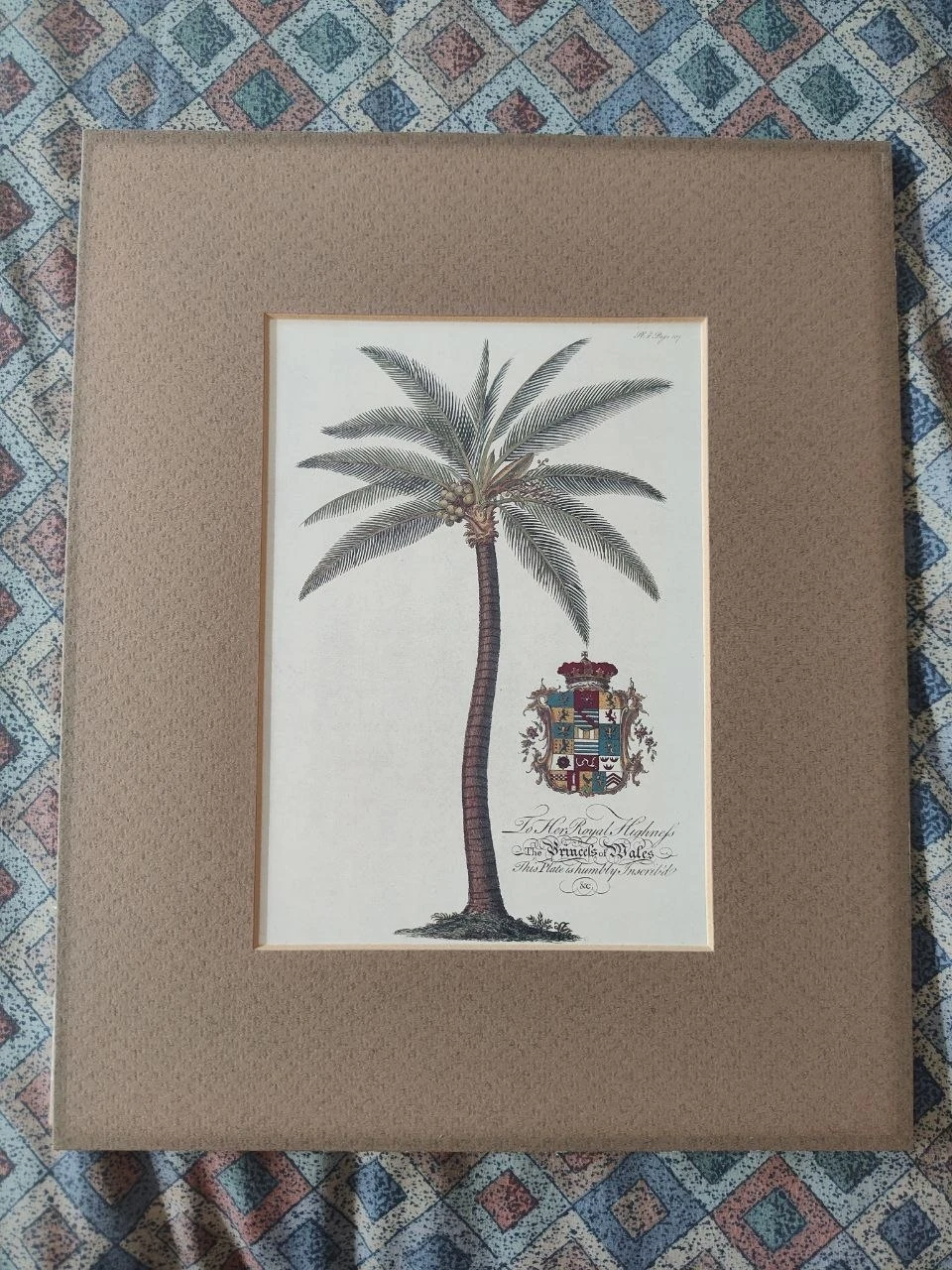 Vintage Georg Dionysius Ehret "Princess of Wales"