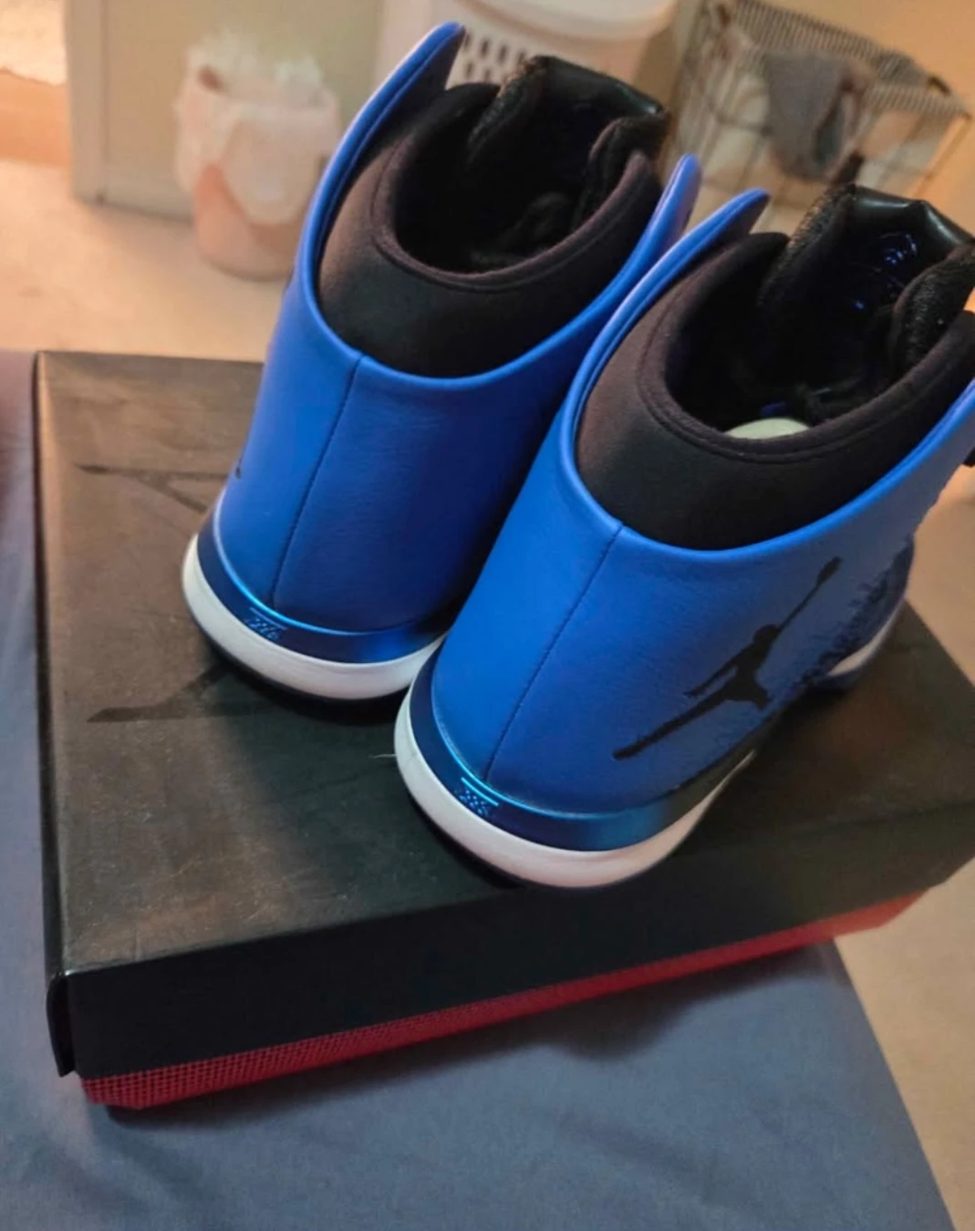 Air Jordan XXXI Royal - photo 3
