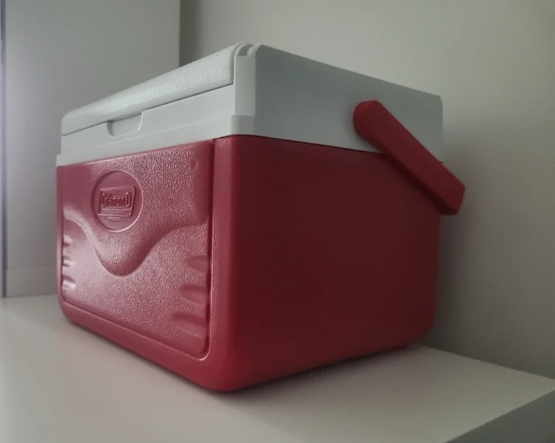 Small Coleman Cooler - photo 2
